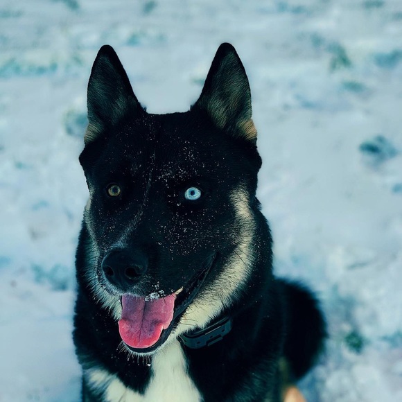 Meet your Posher, Natalie - Picture 1 of 1